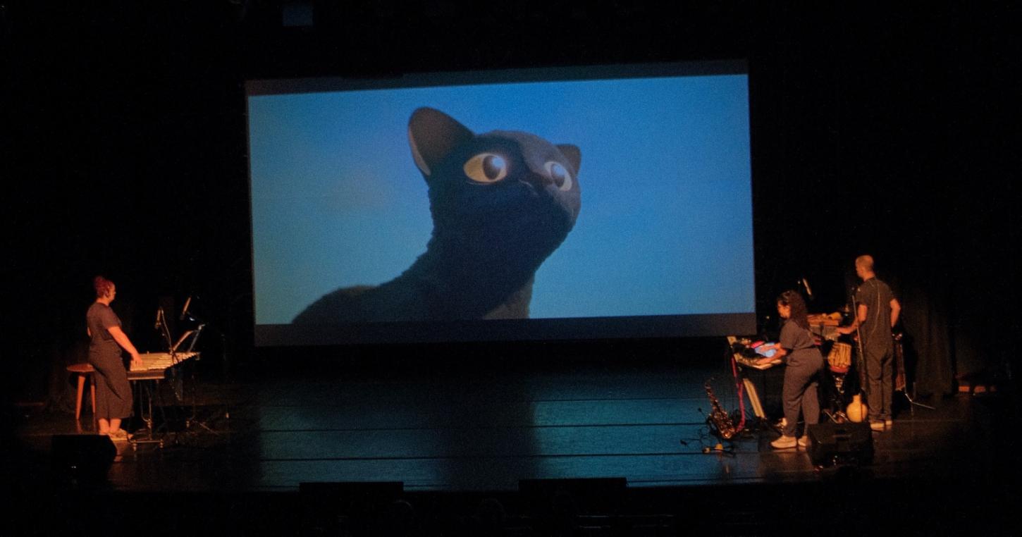 Prefeitura de São Caetano, em parceria com o Sesc, promove Cine Concerto com a premiada animação Flow