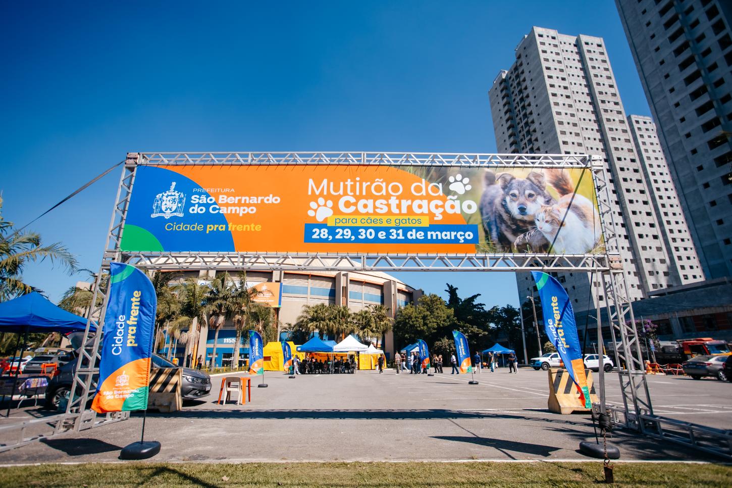 São Bernardo Inicia Mutirão de Castração Gratuita para 800 Cães e Gatos