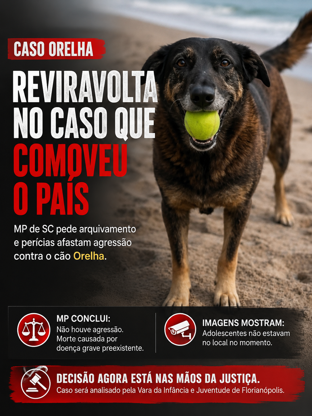 Reviravolta no caso Orelha: MP diz que não há provas de maus-tratos