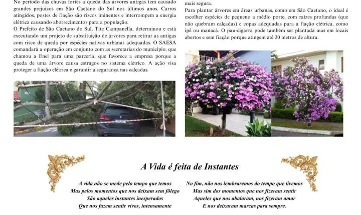  TRIBUNA DO ABCD | EDIÇÃO 1594 JÁ ESTÁ NAS RUAS! 